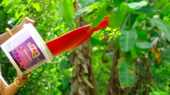 EVERYWHERE IS BEAUTIFUL WITH FAB